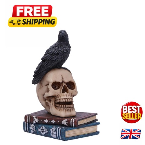 Gothic raven skull figurine - raven,